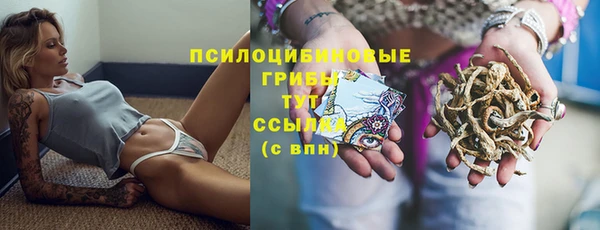 прущие крисы Армянск